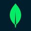MongoDB Atlas